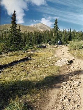 The Mount Elbert Trail from below treeline